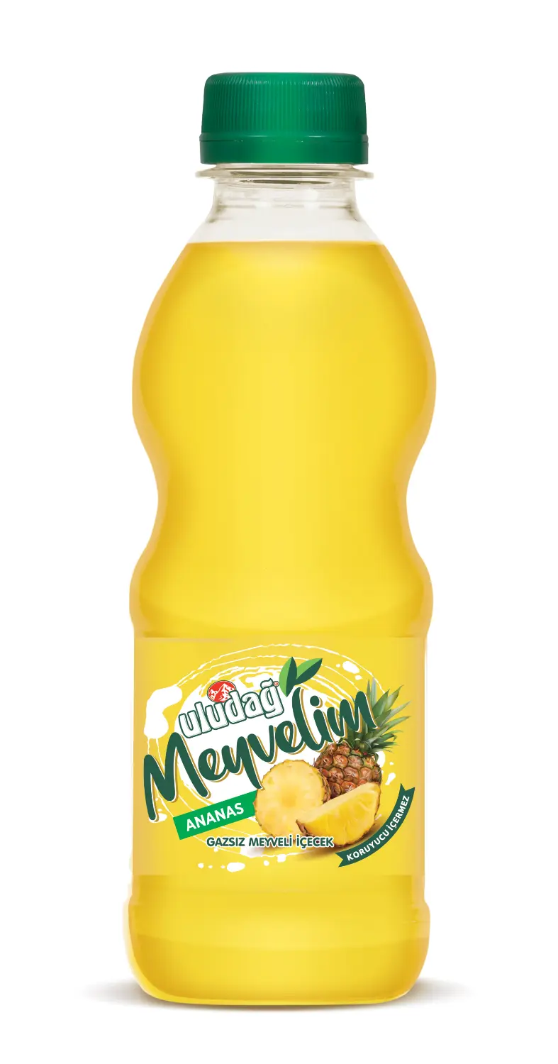 Uludağ Meyvelim Ananas 250 ml