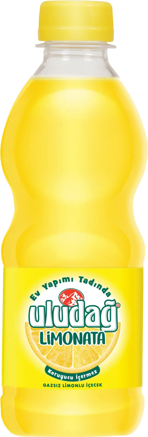 Uludağ Limonata 330 ml