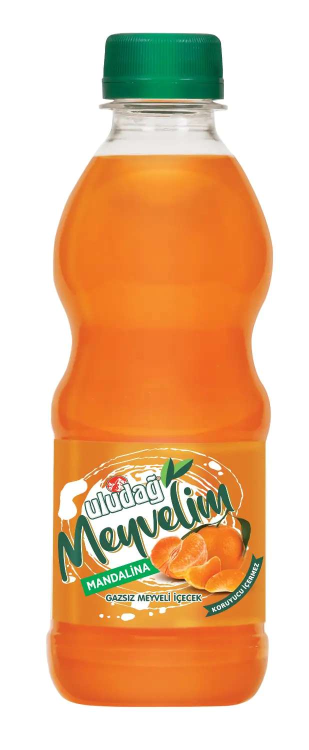 Uludağ Meyvelim Mandalina 250 ml