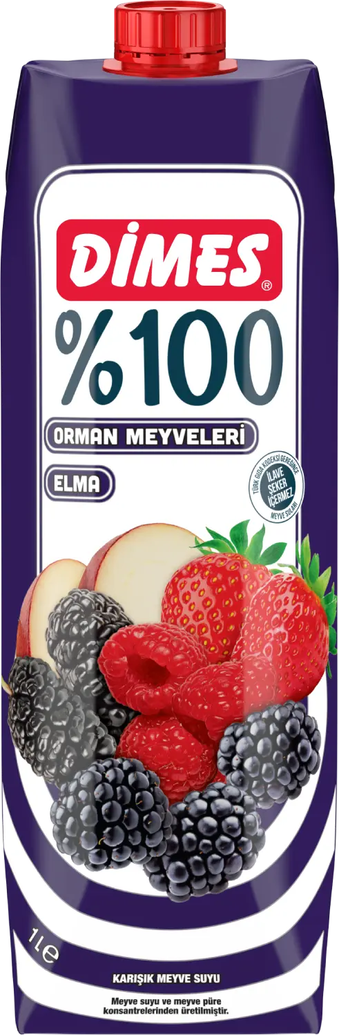 Dimes %100 Orman Meyveli 1 L